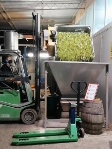 4.Oliven kommen in den Trichter - Copia