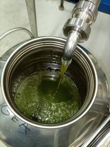 8. olio nel nostro contenitore